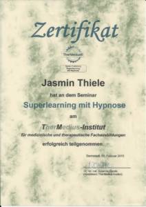 Superlearning mit Hypnose