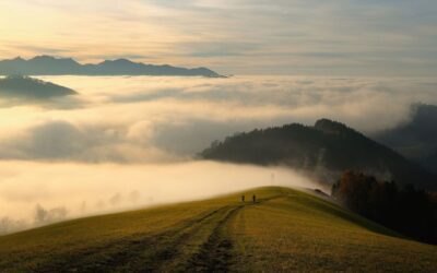 Zu viel Therapie – zu wenig Veränderung?