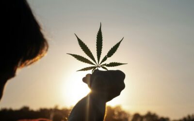 Rauchfrei leben – Cannabis bewusst konsumieren